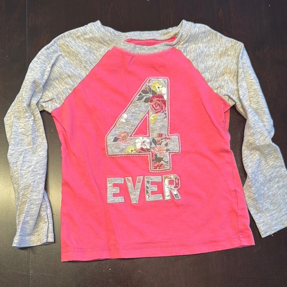 Carter's Pink and Gray Long Sleeve Tees with Graphic Design - Picture 1 of 2